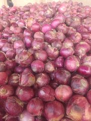 Fresh Red Onions - Premium Quality - Image 3